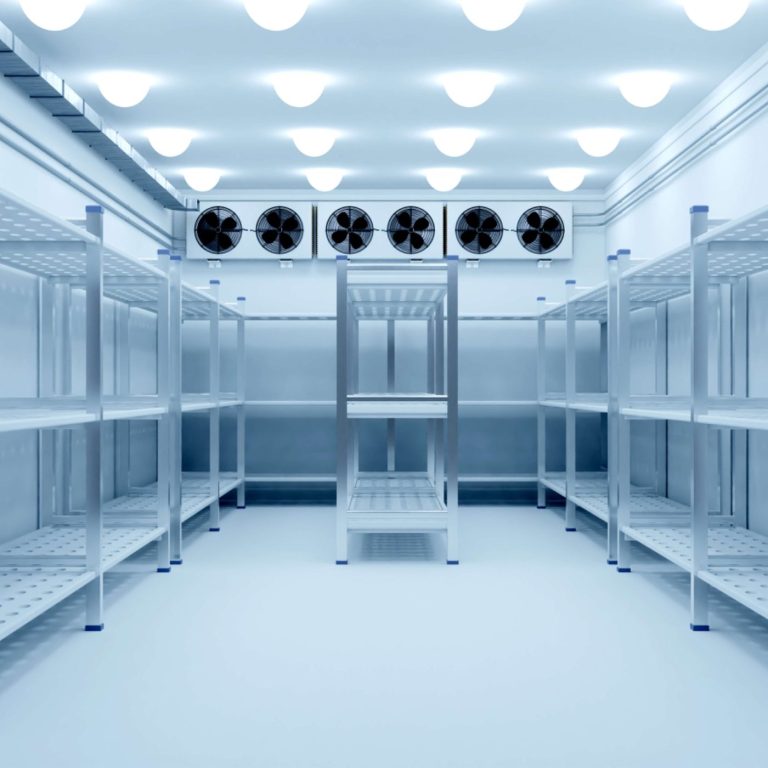 Chambre à froid intense neuve avec de gros moteurs de refroidissement et étagères inoxydables